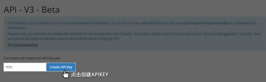 API Key